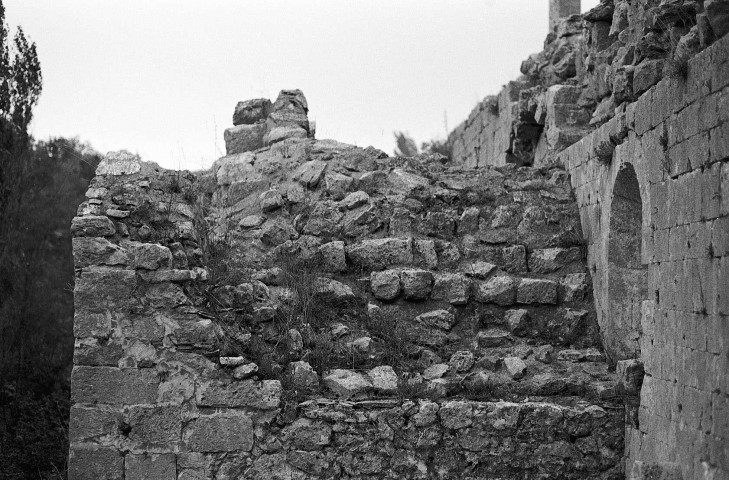 Aleyrac. - Le transept sud du prieuré Notre-Dame-la-Brune, ruiné en 1385.