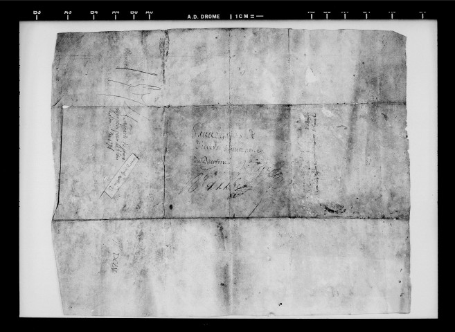 Sauvegarde par le Dauphin.