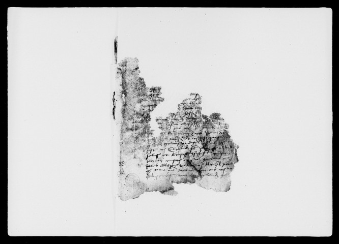 6 février 1503-30 janvier 1505