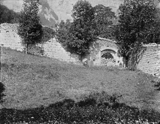 Bouvante.- Ruines de la Chartreuse du Val-Sainte-Marie.