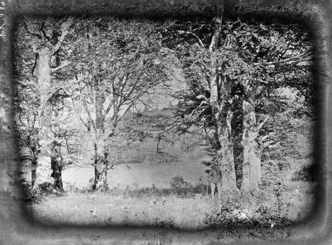 Bouvante.- Forestier dans la Forêt Domaniale de Lente.