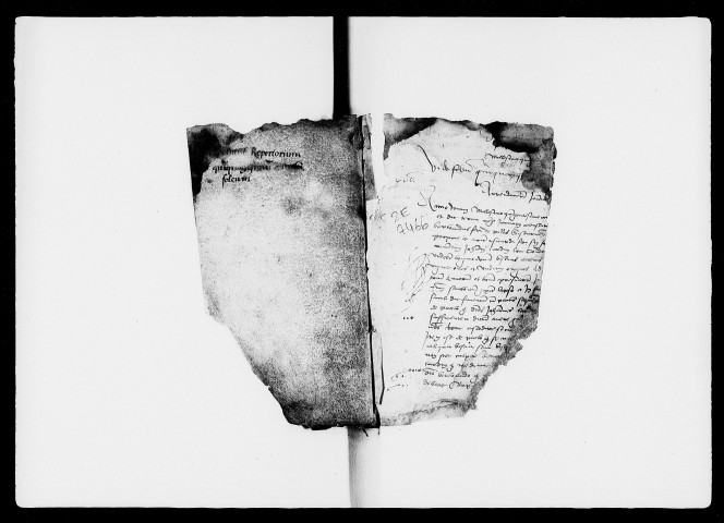 3 janvier 1508-2 novembre 1519