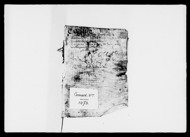 29 mars 1478-8 novembre 1481