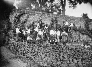 Aurillac (Cantal).- Élèves de l'École Normale pinçant la vigne.