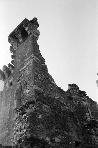 La Baume-de-Transit.- Les ruines du château féodal.