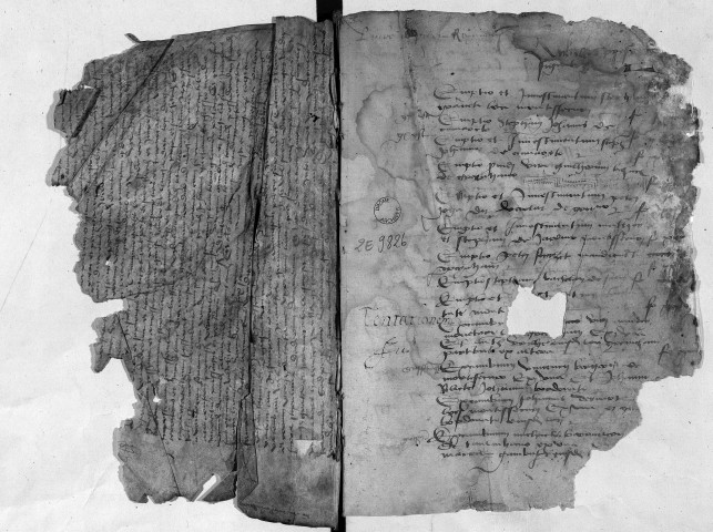 23 février 1486-4 décembre 1490