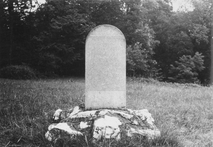 13. Brigade de Saint-Jean-en-Royans. Nature de la commémoration : stèle. Lieu : Saint-Thomas-en-Royans. Nombre de victimes, mortes au combat : 1. Circonstances : le 5 septembre 1944 le gendarme Rousset est tué en poursuivant l'ennemi.