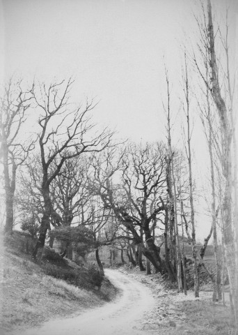 Charols. - Le chemin d'Eyzahut.