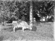 Charols, château de Salettes. - Marthe de Courtois et une vache.