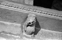 Champagne (Ardèche). - L'église Saint-Pierre, modillon.