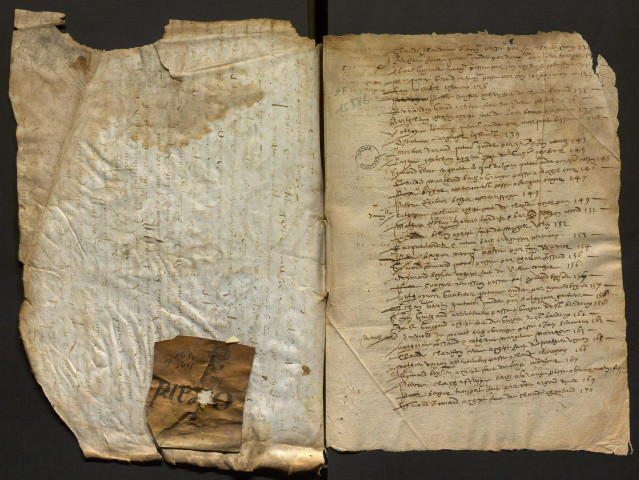 7 janvier 1591-20 février 1596