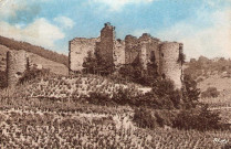 Les vestiges du château.