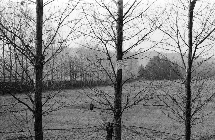 Triors.- Parc aux abords du château.