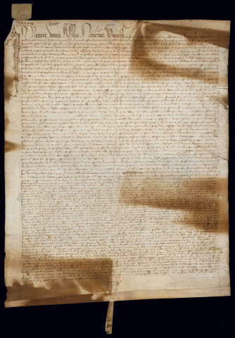 AA 5. Reconnaissance des libertés.