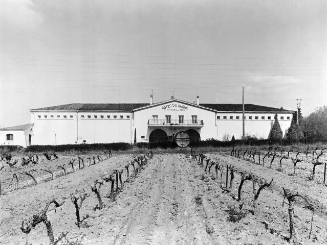 Saint-Pantaléon-les-Vignes.- La cave coopérative.