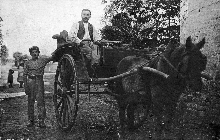 Malissard.- Cheval attelé d'une carriole, route principal.