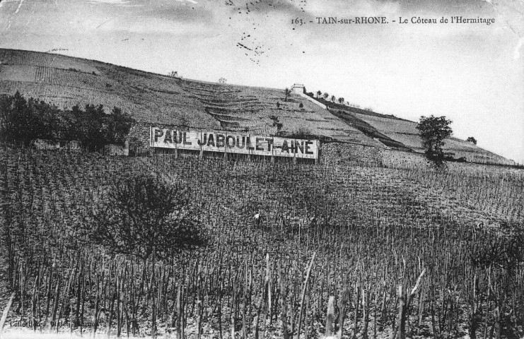 Le coteau de l'Hermitage.