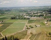 Barsac (Gironde).- Vue aérienne du village et des vignes.