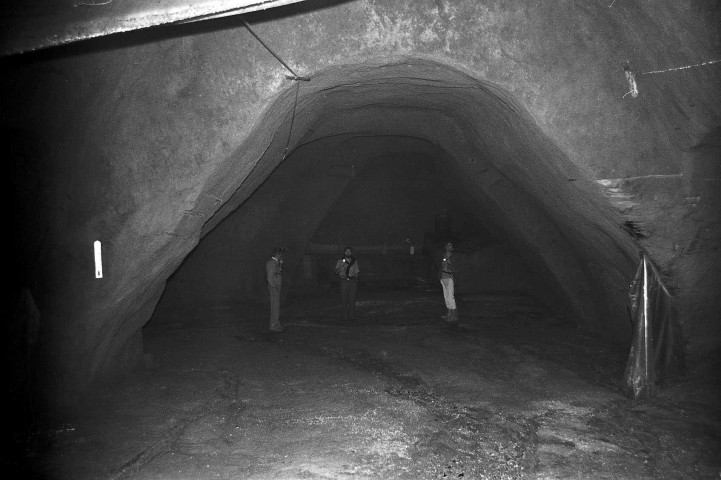 Châteauneuf-sur-Isère.- Champignonnière dans les anciennes carrières de molasse.