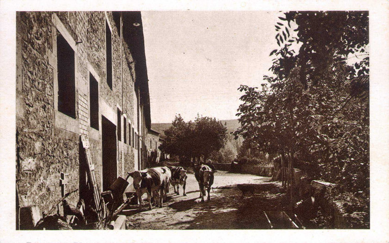 La rentrée du bétail de l'abbaye.