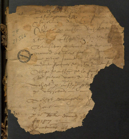 27 janvier-1er février 1559, 29 mars-10 décembre 1559