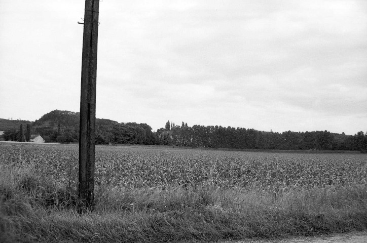 Triors.- Les abords sud du château.