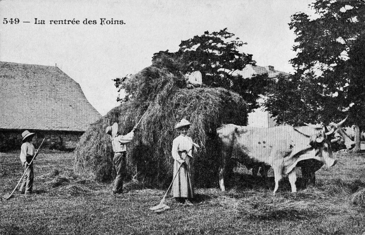 Agriculture.- La rentrée du foin.