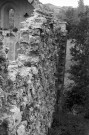 Aleyrac. - Mur nord de la nef du prieuré Notre-Dame-la-Brune, ruiné en 1385.