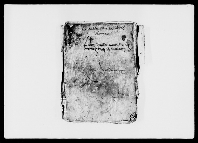 10 mars 1504-30 mars 1506