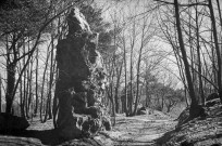 Saint-Barthélemy-de-Vals.- Cromlech des roches qui dansent