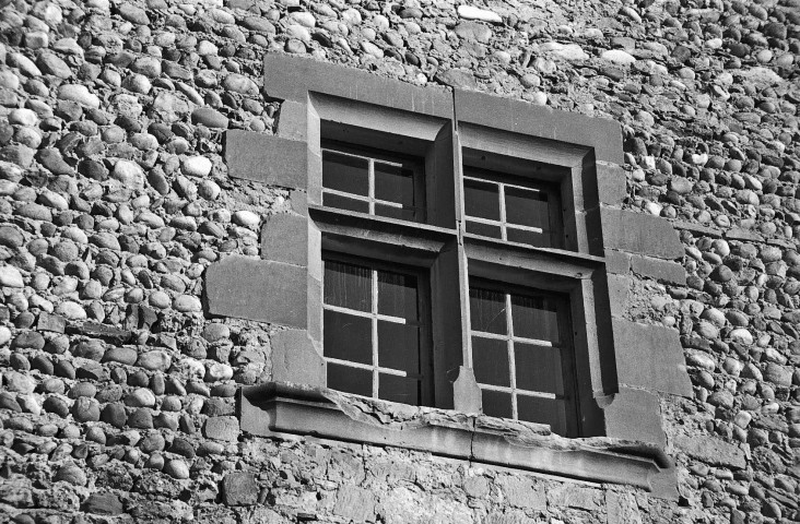 Châtillon-Saint-Jean. - Fenêtre du château Bady.