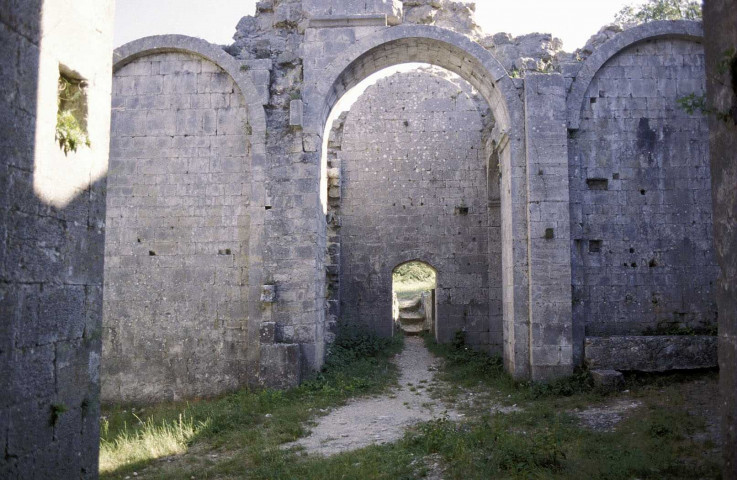 Aleyrac.- Les restes de la voûte du prieuré.