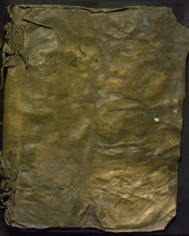 Répertoire chronologique (1er pluviôse an VII-19 janvier 1813).