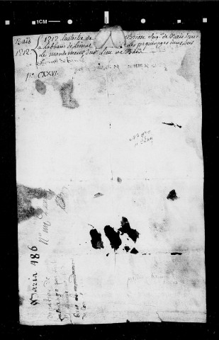 Donation par Eustache de Brion, seigneur du Plan-de-Baix.