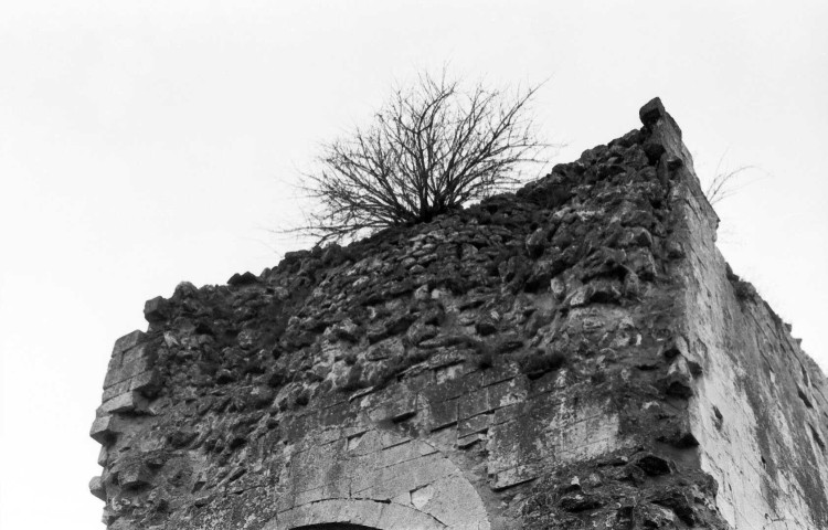 Allan. - Les restes du clocher de la chapelle Barbara, avant la restauration de 1976.