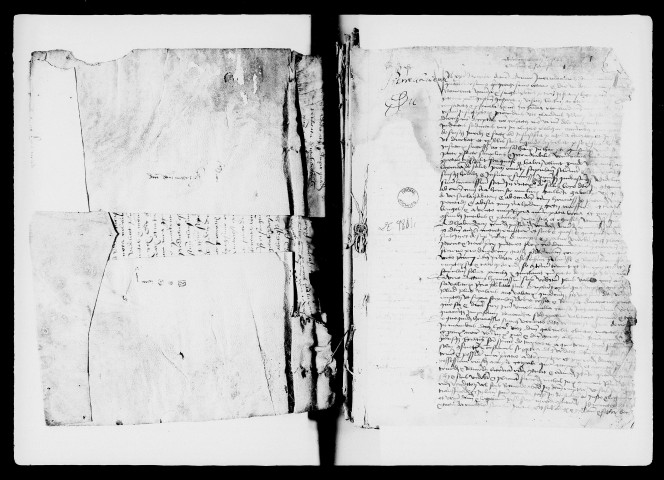 6 novembre 1458-6 février 1462