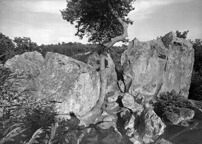 Saint-Barthélemy-de-Vals.- Cromlech des roches qui dansent