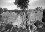Saint-Barthélemy-de-Vals.- Cromlech des roches qui dansent