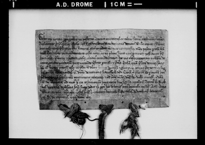 Donation par Humbert de Châteuneuf.