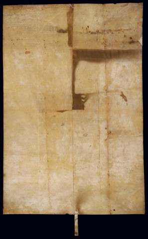 AA 6. Confirmation des libertés.