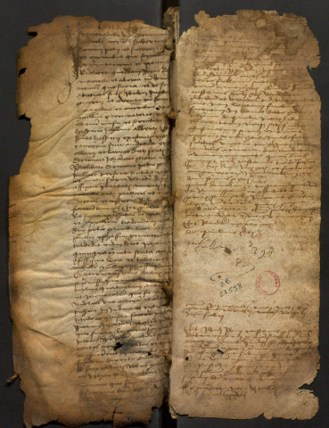 Notes brèves (4 juin 1484-21 janvier 1485).