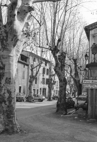 Buis-les-Baronnies. - L'Allée des Platanes.