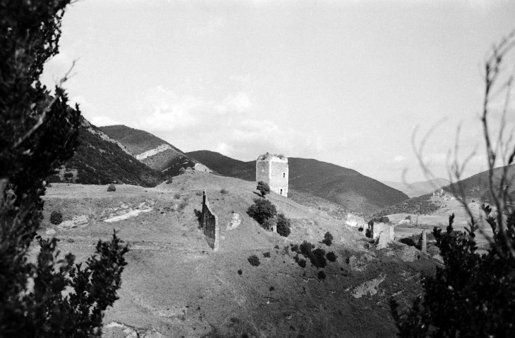 Roche-Saint-Secret-Béconne.- La tour d'Alençon et les abords.