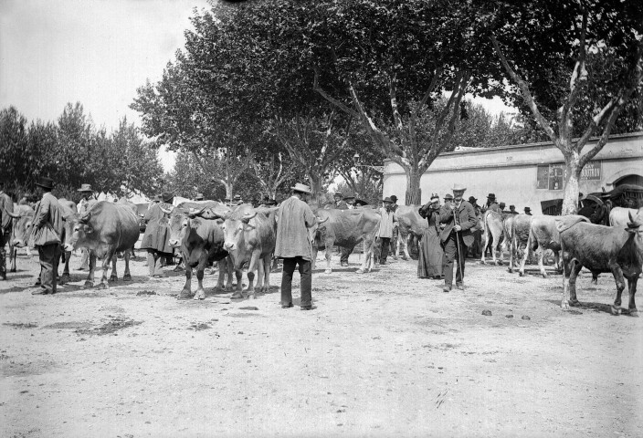 Marsanne.- Marché rural.