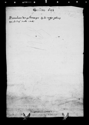Donation par Galvaing, seigneur de Roche.