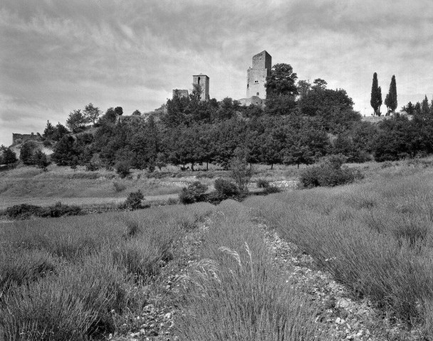 Le Poët-Laval. - Vue du château.
