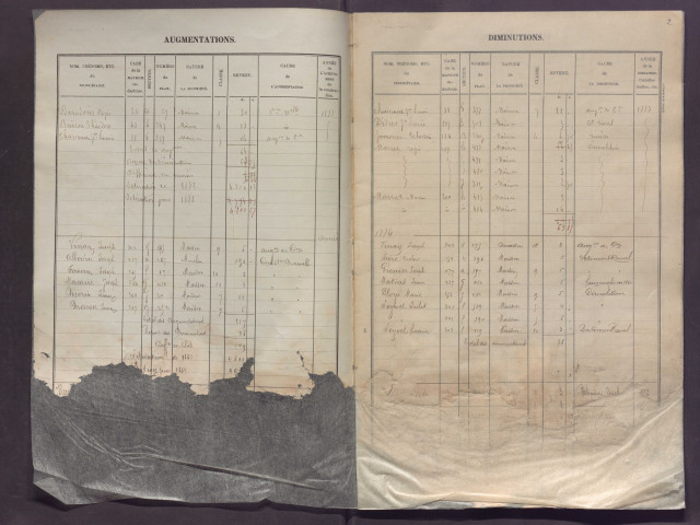 Volume 1 : cases 1-450.