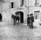 Émile Loubet à Marsanne regardant la mule offerte par Alphonse XIII roi d'Espagne.