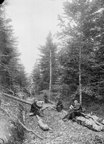 Bouvante.- Forestiers dans la Forêt Domaniale de Lente.