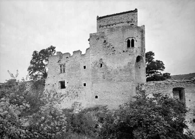 Le Poët-Laval. - Vestiges du château des Hospitaliers.